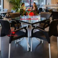 صندلی پلاستیکی  باغی کافه طرح یونیک دو