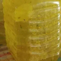حدود 40تا دبه زیتون و30تا دبه خیارشور