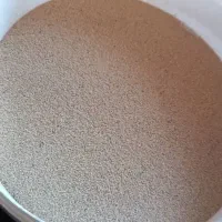 بذر درجه یک