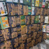 سبد کارتن موزی|ظروف نگهدارنده، پلاستیکی، یکبارمصرف|کاشان, دشت لتحر|دیوار