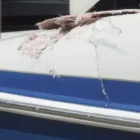 فایبرگلاس تولید قالب گیری ایق بندی