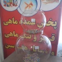 پخش عمده|ماهی|تهران, میدان میوه و ترهبار مرکزی|دیوار