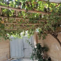 خونه ویلایی دوبلکس،دربست،ایوان،تراس در نیاسر کاشان|اجارهٔ کوتاهمدت ویلا و باغ|کاشان, معلم|دیوار