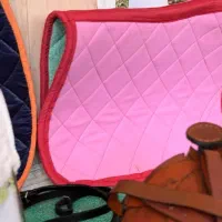 عرقگیر اسب