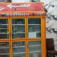 یخچال|فروشگاه و مغازه|ریگان, |دیوار