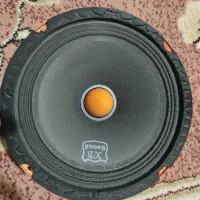 میدرنج سایز ۸در حد آکبند