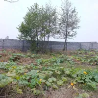 ویلا باغ 737متری جنگلی با بهترین لوکیشن|فروش خانه و ویلا|سیاهکل, |دیوار