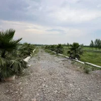 زمین-امیراباد-سنددار-قابل-ساخت-جنگلی