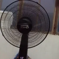 پنکه