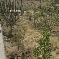 500متر-چهار-دیواری-دارای-تبرئه-دیوار-منشیان