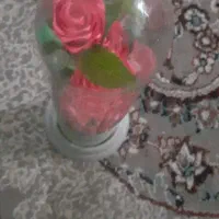 گل ولنتاین|گل مصنوعی|کرمانشاه, |دیوار