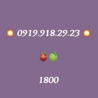 0919-918-29-23