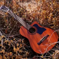 گیتار سوزوکی با تجهیزات کامل