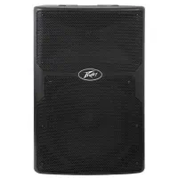 دو عدد باند پسیو peavey 15