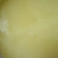 روغن حیوانی