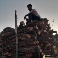 خرید چوب ضایعاتی کوار