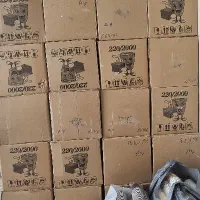 تمامی ظروف یکبار مصرف برای محرم
