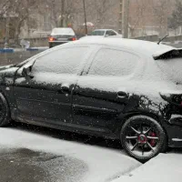 ۲۰۶ پانا مدل ۱۴۰۲