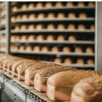 استخدام نیرو شرکت مواد غذایی|استخدام صنعتی، فنی، مهندسی|اردبیل, |دیوار