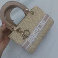 کیف خارجی برند دیور