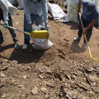 کود گوسفندی بسته‌بندی‌شده مناسب باغ و گلخانه|خدمات باغبانی و درختکاری|خرم‌آباد (تنکابن), |دیوار