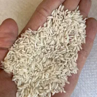 برنج مختار هاشمی|خوردنی و آشامیدنی|رضوانشهر, |دیوار