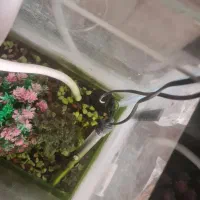 آکواریوم بزرگ کاملا سالم|ماهی|تهران, شمس‌آباد|دیوار