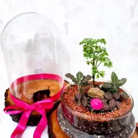 باکس گل طبیعی با موندگاری بالا و نگهداری راحت