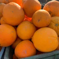 فروشنده خانوم میوه فروشی