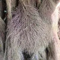 لوازم نظافت