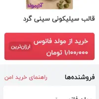 قالب سیلیکونی