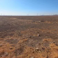 زمین کشاورزی ۳۸ هکتاری|فروش دفتر صنعتی، کشاورزی، تجاری|تاکستان, |دیوار