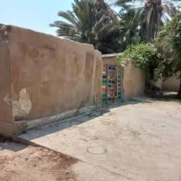 زمین-3600متری-سند-تک-برگ-تنگک-اول