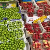 میوه به قیمت بنگاه