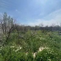 زمین-باغچه-ویلا