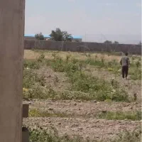 فروش زمین باغی نوبهار هزار و پنجاه متری|فروش دفتر صنعتی، کشاورزی، تجاری|مشهد, احمدآباد|دیوار