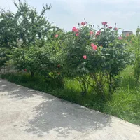 ۶۰۰ متر خانه