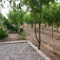 باغ ویلا ۱۱۰۰ متری واقع در تقاب