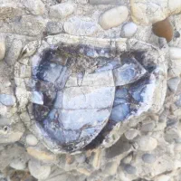 راهنمایی در مورد سنگ
