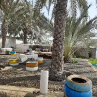 بوم گردی چابهار|اجارهٔ کوتاهمدت ویلا و باغ|چابهار, |دیوار