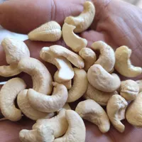 گردوخارجی.   بادام هندی|خوردنی و آشامیدنی|مشهد, مقدم|دیوار