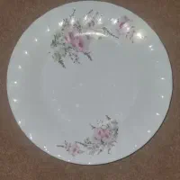 بشقاب پلو خوری