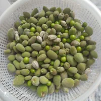 آلوچه سبز ترش و سفت|خوردنی و آشامیدنی|شاهین دژ, |دیوار