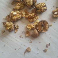 گردودرجه‌یک‌سمت‌بقمچ‌بلوارتوس‌۳۰۰کیلو|خوردنی و آشامیدنی|مشهد, امیرآباد|دیوار