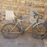 دوچرخه دماوند و چینی|دوچرخه، اسکیت، اسکوتر|تایباد, |دیوار