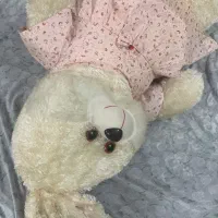 عروسک ازهمه نوع