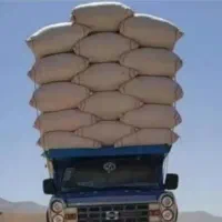 کاه گندم دیم