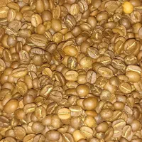 پخش عمده قهوه و پودریجات