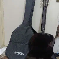 گیتار سالم و تمیز مناسب تمرین.|گیتار، بیس، امپلیفایر|مشهد, حجاب (شهرک غرب)|دیوار