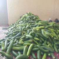 خوردنی واشامیدنی